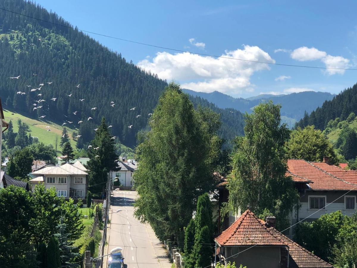 Bucovina View Apartment Campulung Moldovenesc Ngoại thất bức ảnh