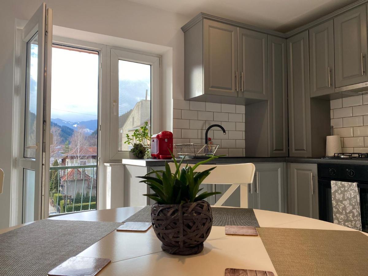 Bucovina View Apartment Campulung Moldovenesc Ngoại thất bức ảnh